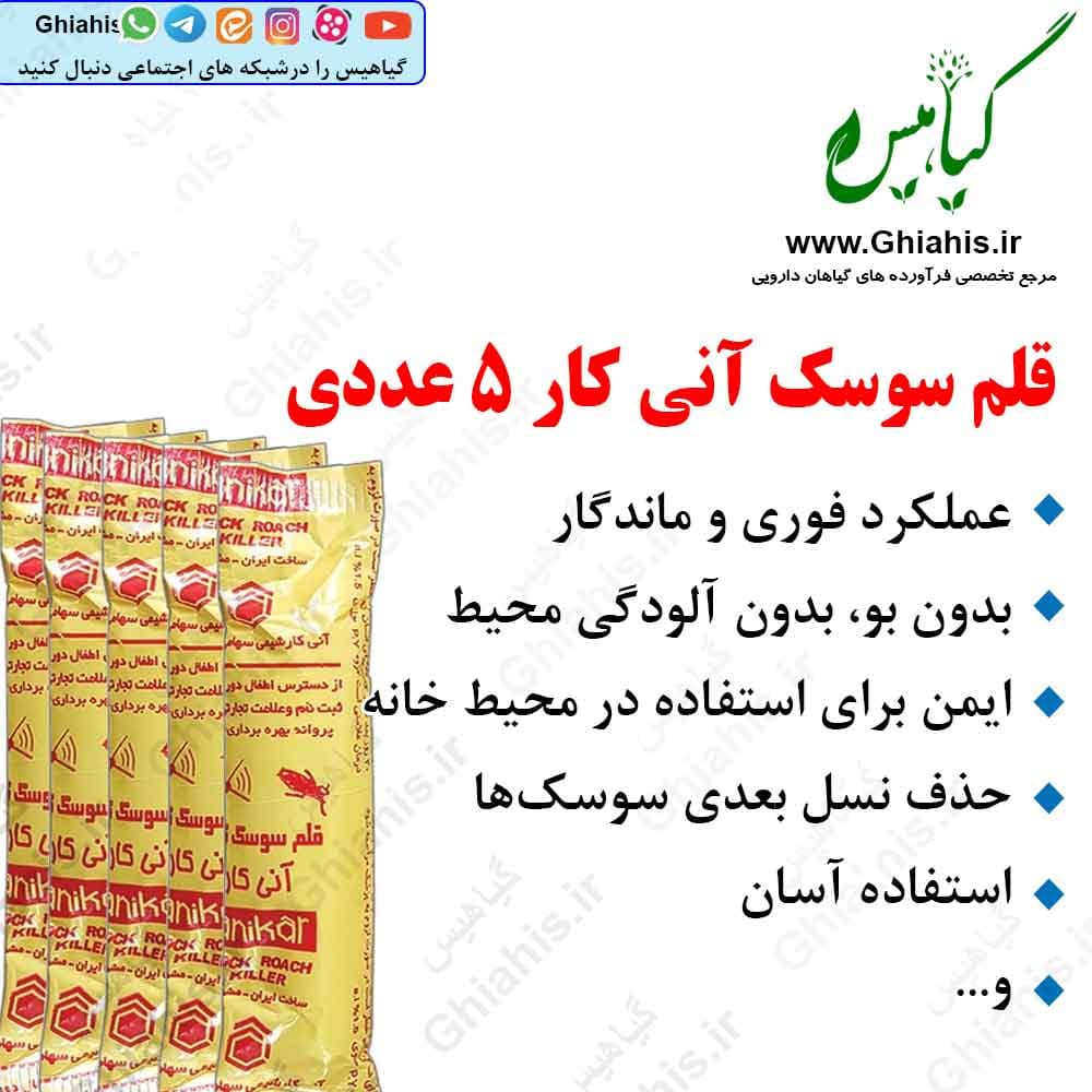 قلم سوسک آنی کار ۵ عددی — تصویر ۲