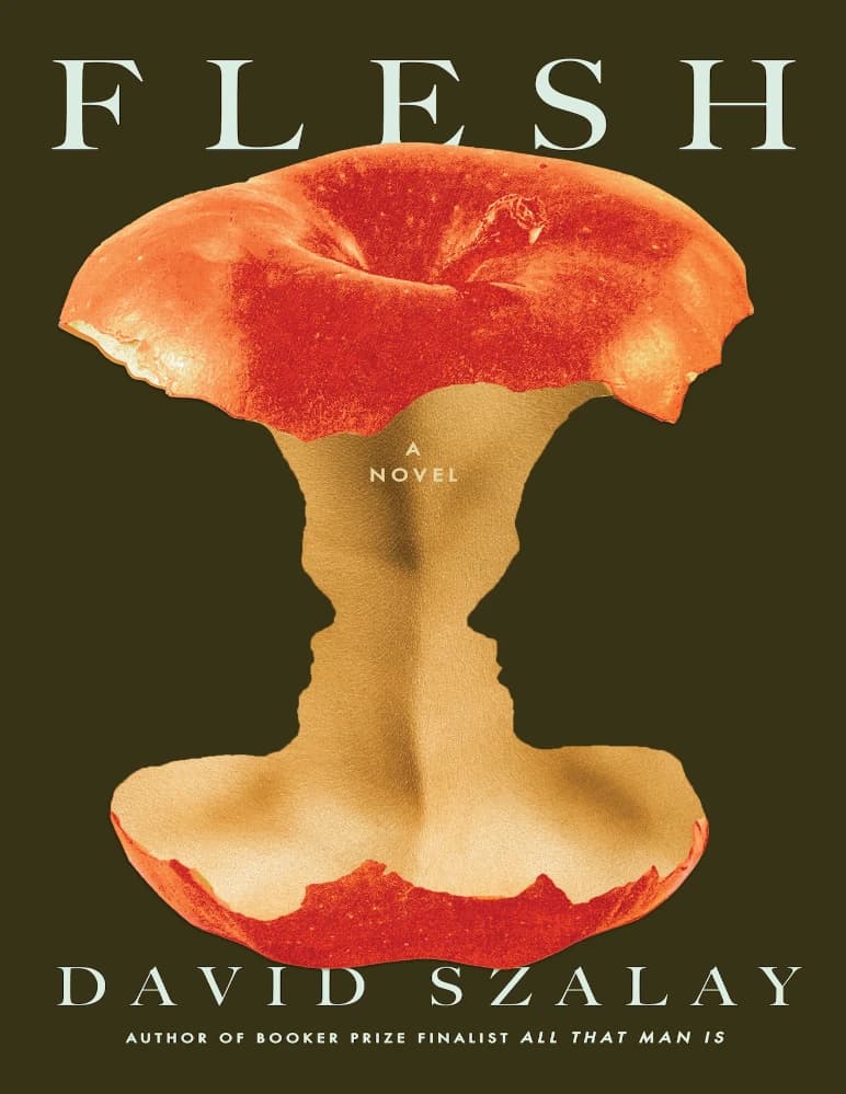 کتاب Flesh: A Novel (گوشت: یک رمان) نسخه انگلیسی PDF | دیوید سالایی — تصویر ۲
