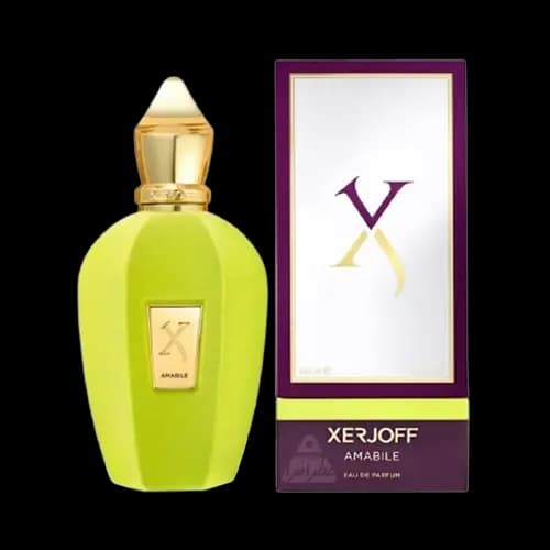 عطر ادکلن اماراتی زرجف امابیل هاردباکس ادو پرفیوم 100 میلی لیتر | Emarati Perfume Xerjoff Amabile 100ml EDP