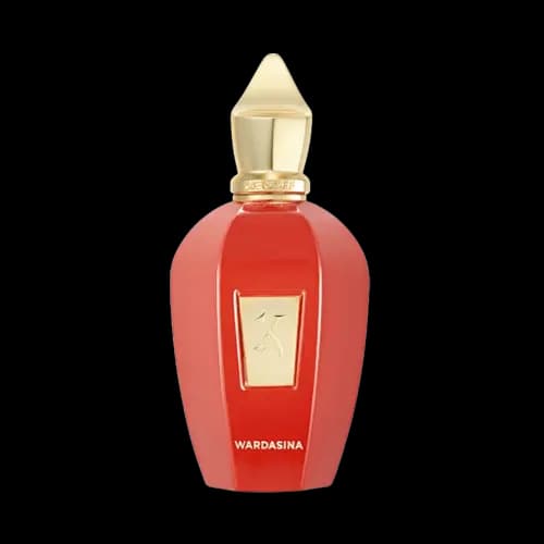 عطر ادکلن اماراتی زرجف وارداسینا هاردباکس ادو پرفیوم 100 میلی لیتر | Emarati Perfume Xerjoff Wardasina 100ml EDP — تصویر ۲