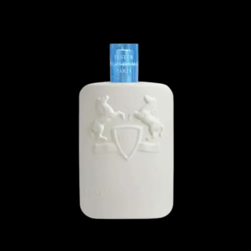 تستر اماراتی پارفومز د مارلی گالووی (گلووی) درب پلاستیکی ادو پرفیوم 125 میلی لیتر | Tester Parfums de Marly Galloway 125ml EDP