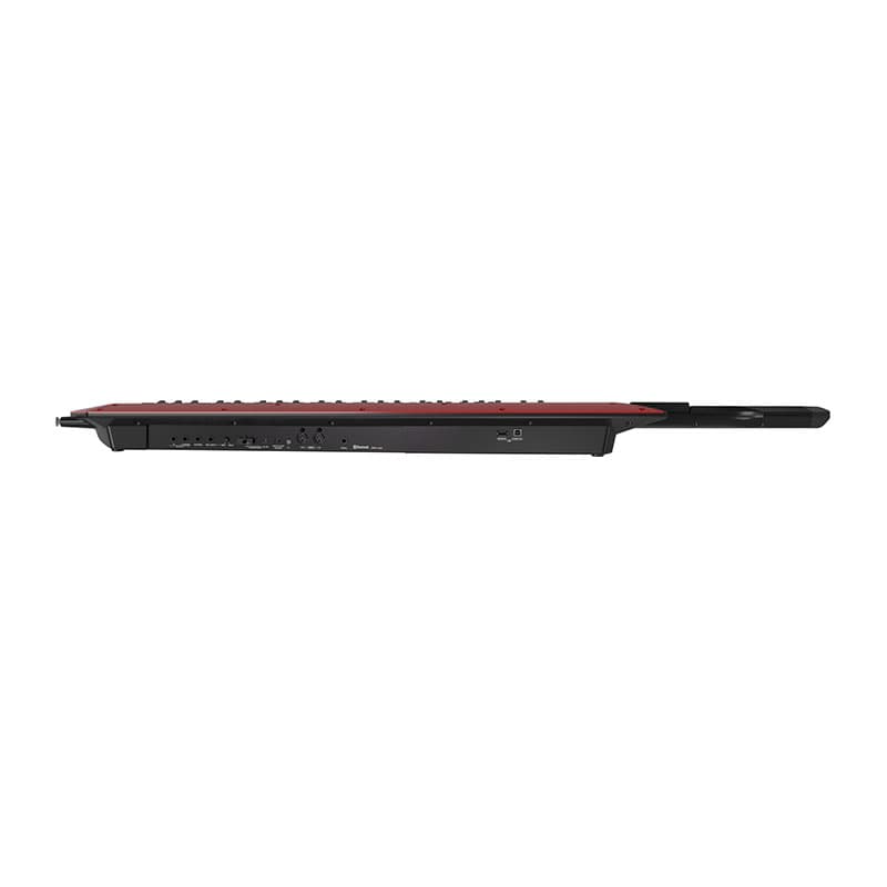 سینتی سایزر AX Edge Black — تصویر ۶