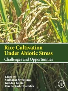 دانلود کتاب Rice Cultivation Under Abiotic Stress