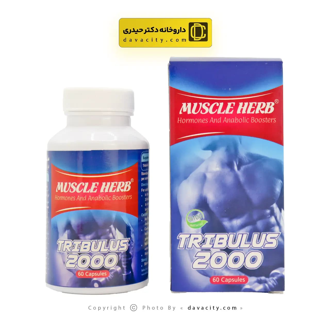 کپسول ماسل هرب بهتا دارو 60 عددی — تصویر ۸