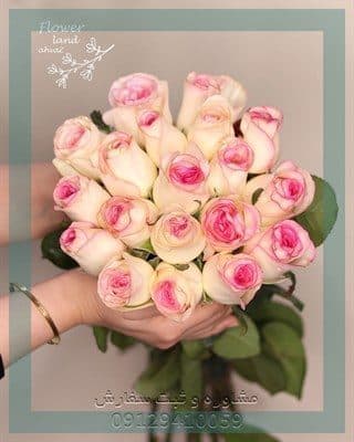 ارسال گل طبیعی برای دانشگاه تهران پردیس فارابی قم