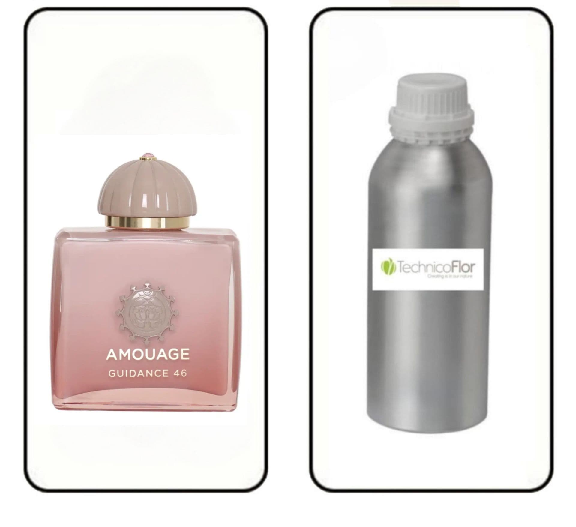 عطر گرمی آمواج گایدنس برند تکنیکوفلور
