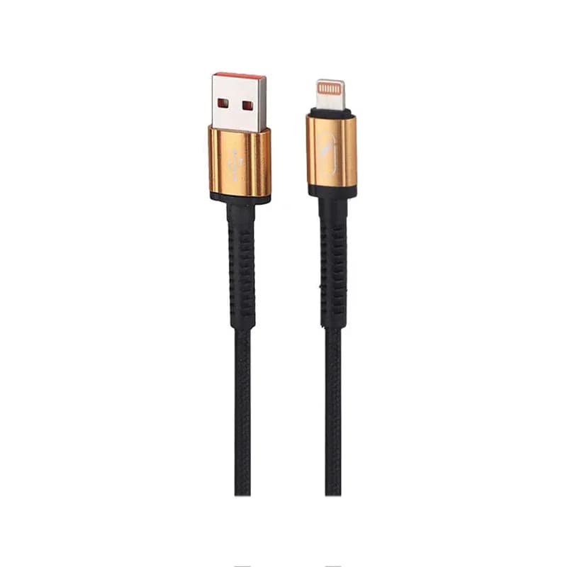 کابل شارژ USB به لایتنینگ 40W فست اسکای دلفین S39L طول 1 متر مشکی – حراج — تصویر ۲