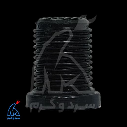 صافی فلوسوییچ — تصویر ۲