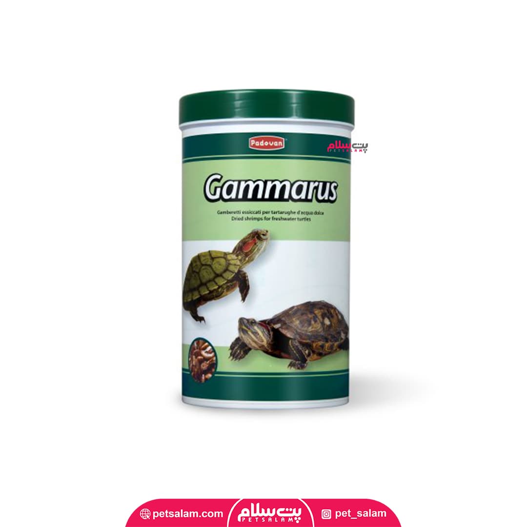 غذای لاک پشت Padovan Gammarus