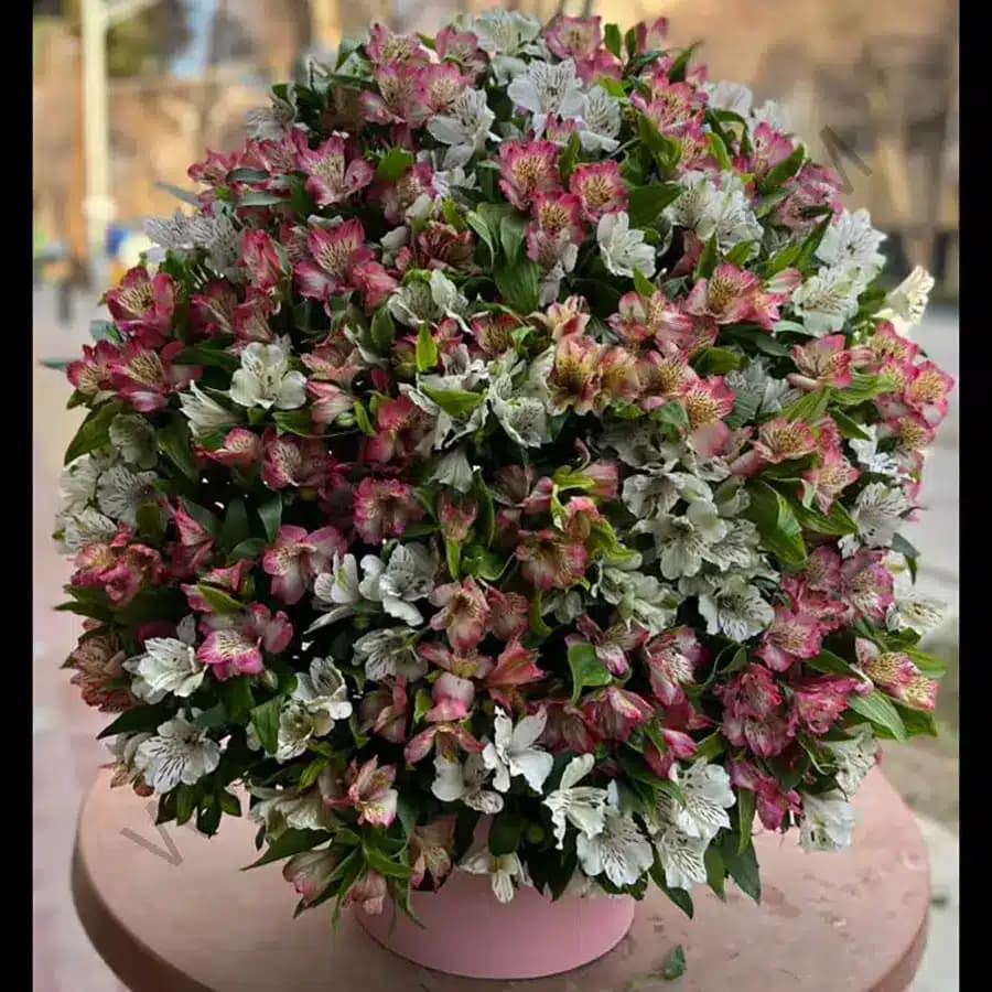 باکس گل وازنا — تصویر ۳
