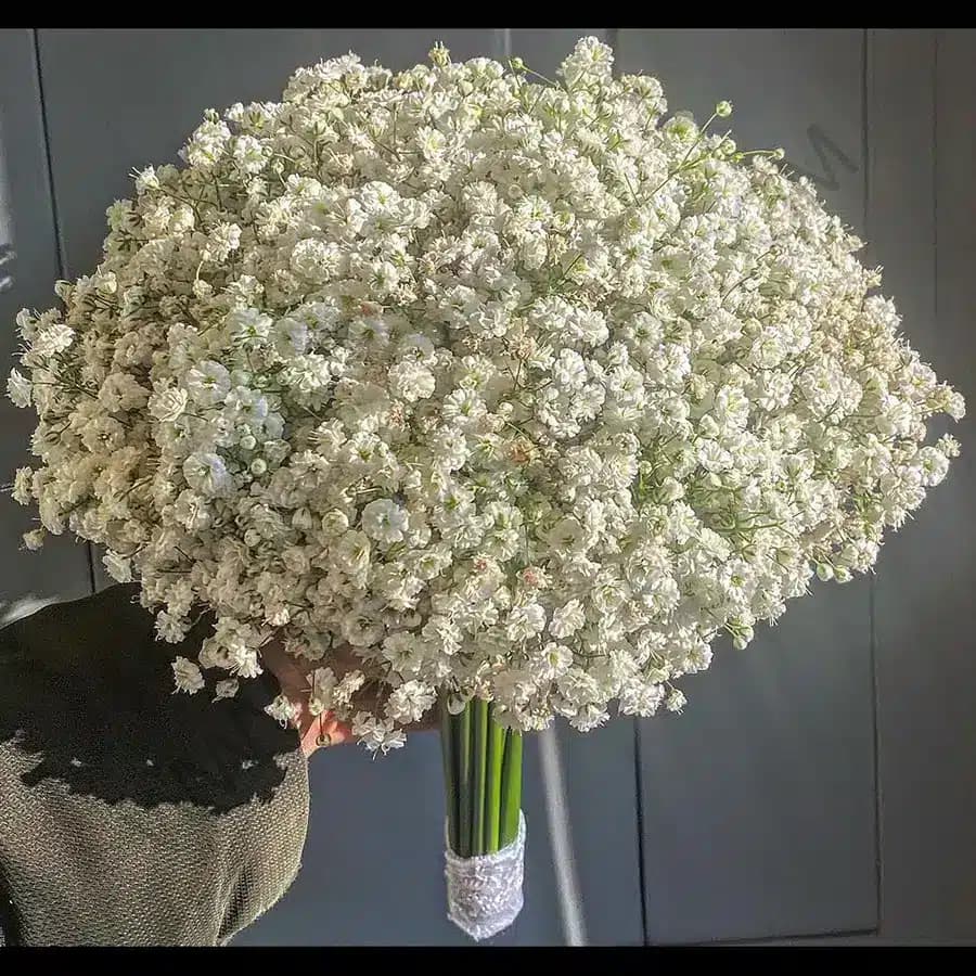 دسته گل واران — تصویر ۳