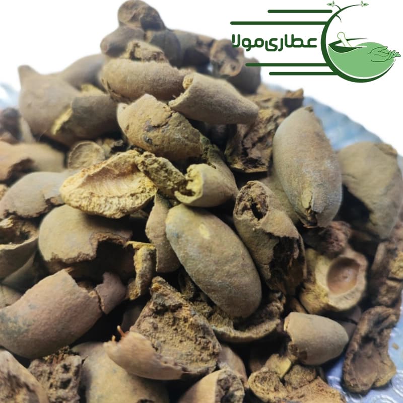 بلیله ( پوست )