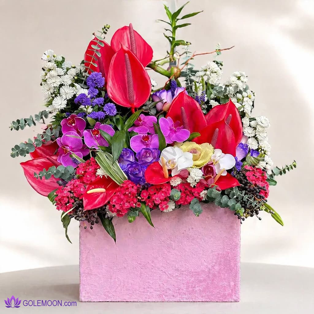 باکس گل پارلاش
