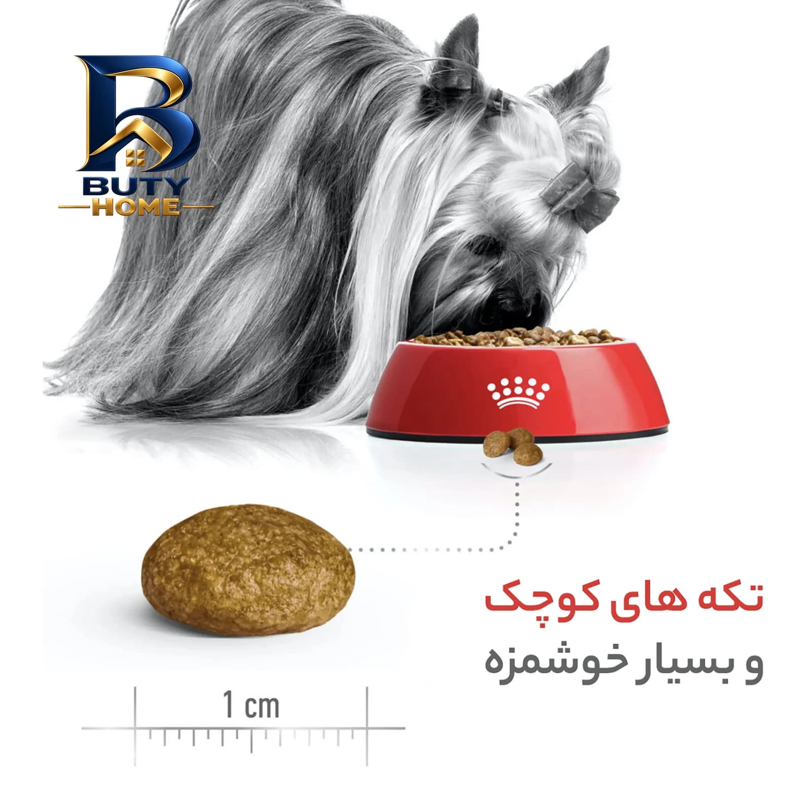 غذای خشک سگ رویال کنین مدل ایکس اسمال بالغ وزن 1/5 کیلوگرم — تصویر ۸