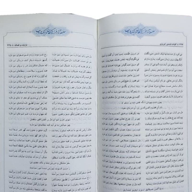 کلیات شمس رقعی پالتویی 2جلدی چرم قابدار کشویی پلاک دار — تصویر ۵