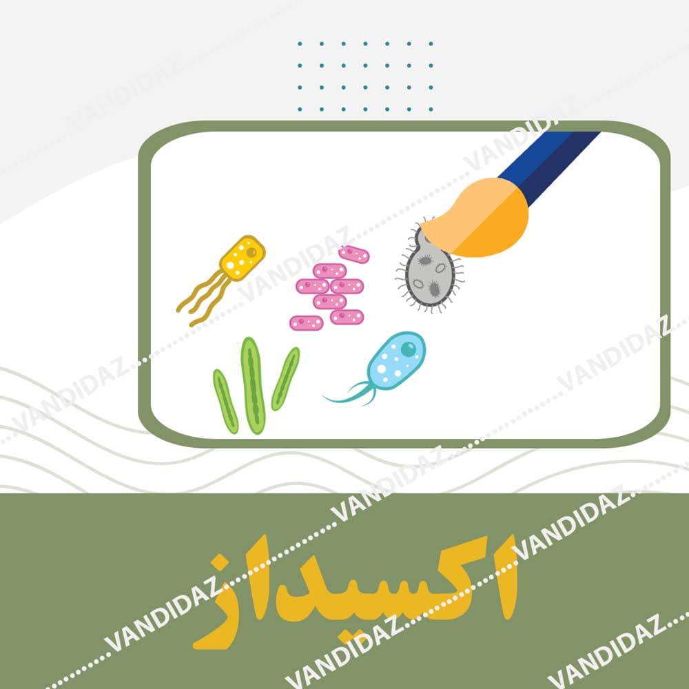 تست اکسیداز — تصویر ۲