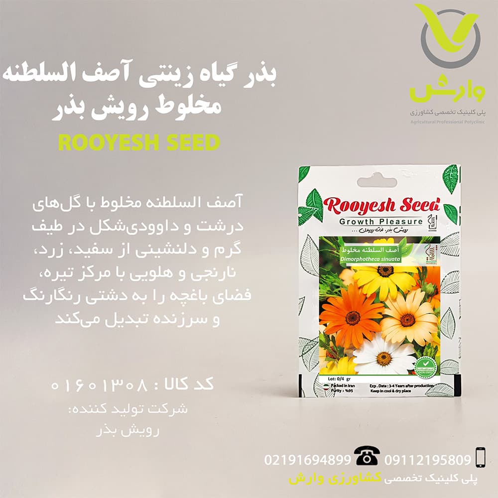 بذر گیاه زینتی آصف السلطنه مخلوط رویش بذر — تصویر ۲