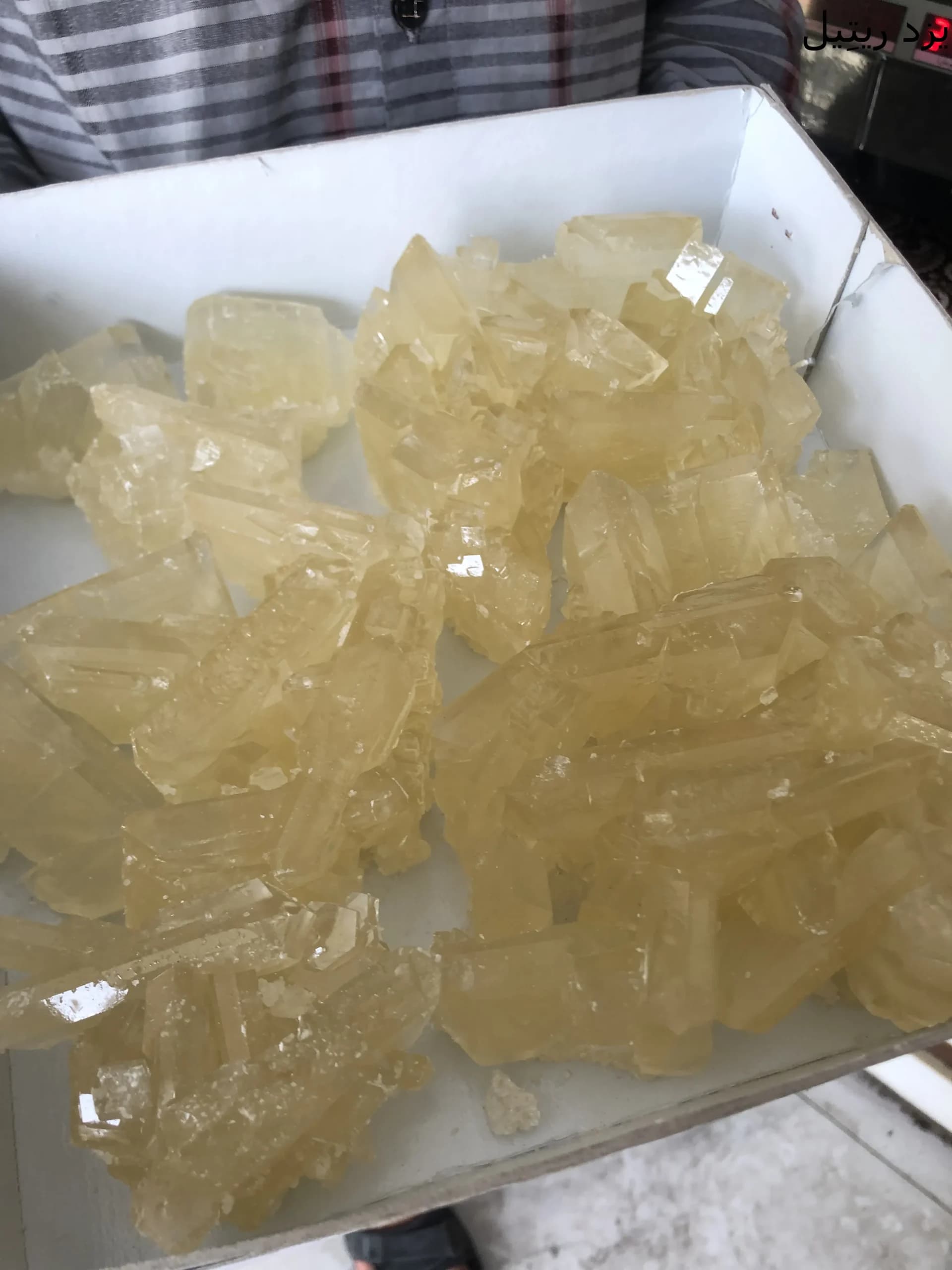 لقمه نبات اعلا (ساده)
