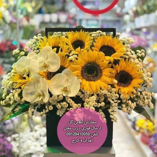 سفارش گل همراه با کیک تولد حیوانات