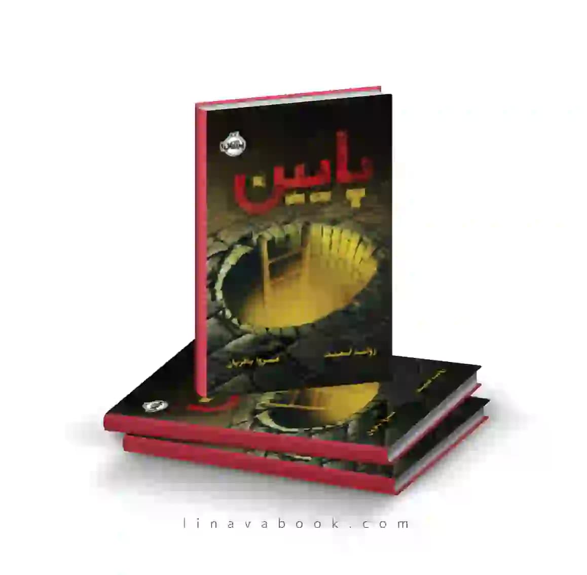 کتاب “پایین” رونالد اسمیت ترجمه مروا باقریان نشر پرتقال