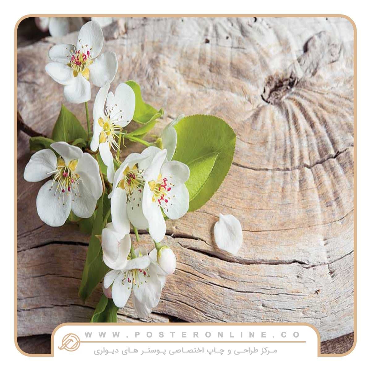 پوستر دیواری شاخه پرگل کد F-8381 — تصویر ۳