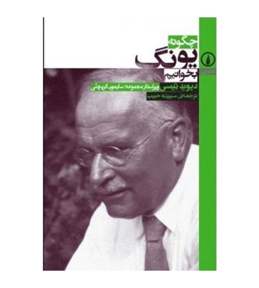 کتاب چگونه یونگ بخوانیم اثر دیوید تیسی نشر نی