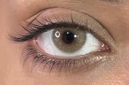 لنز عسلی اُپتی کالر روبی براون | OptiColor Ruby Brown Honey Lens — تصویر ۵