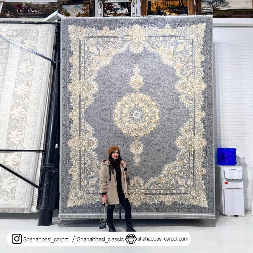 فرش کلاسیک کد 3049 فیلی — تصویر ۲