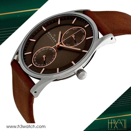 ساعت مچی مردانه اسکاگن SKAGEN SKW6086 — تصویر ۲