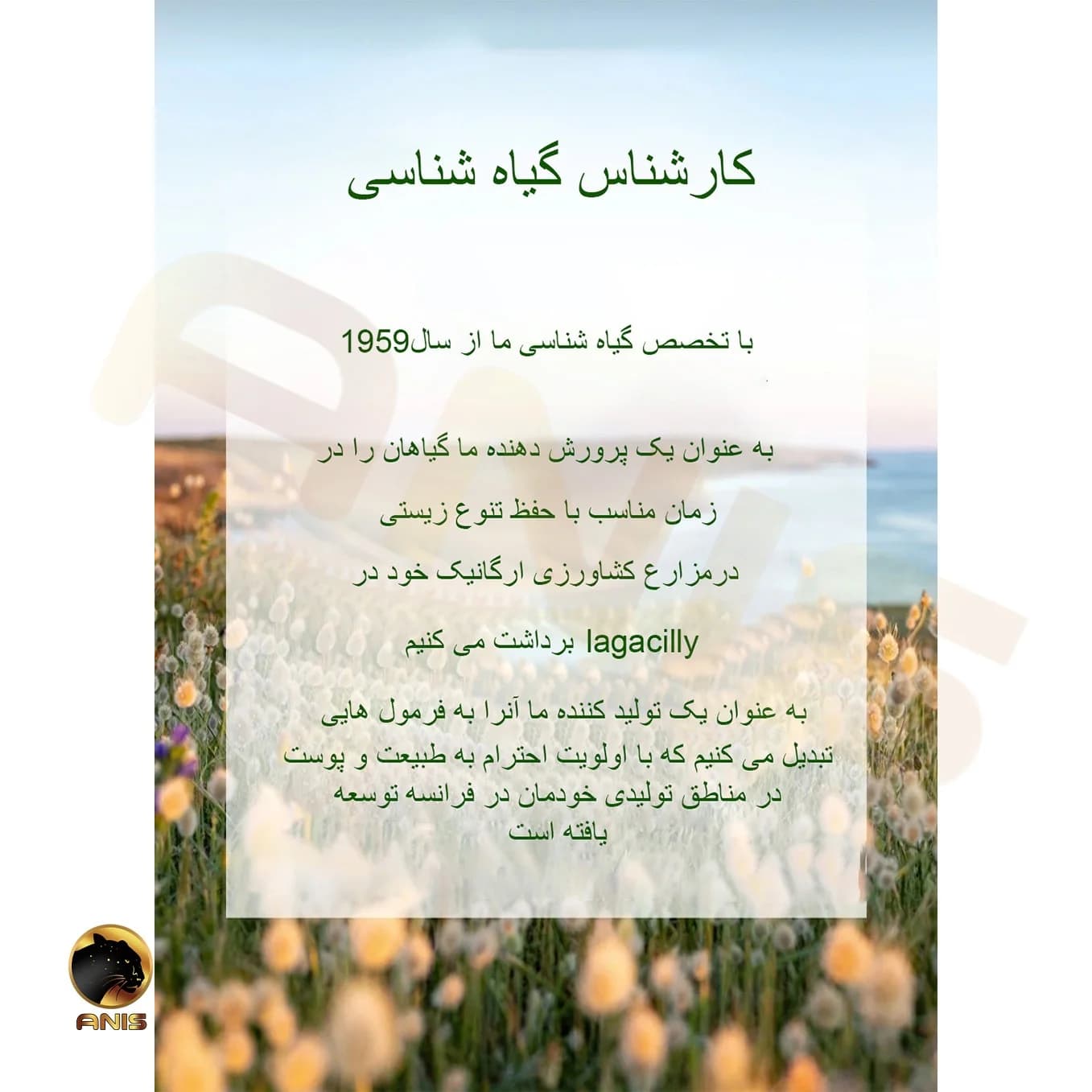 ماسک زغال پاکسازی کننده ایوروشه yves rocher حجم 75 میل — تصویر ۸