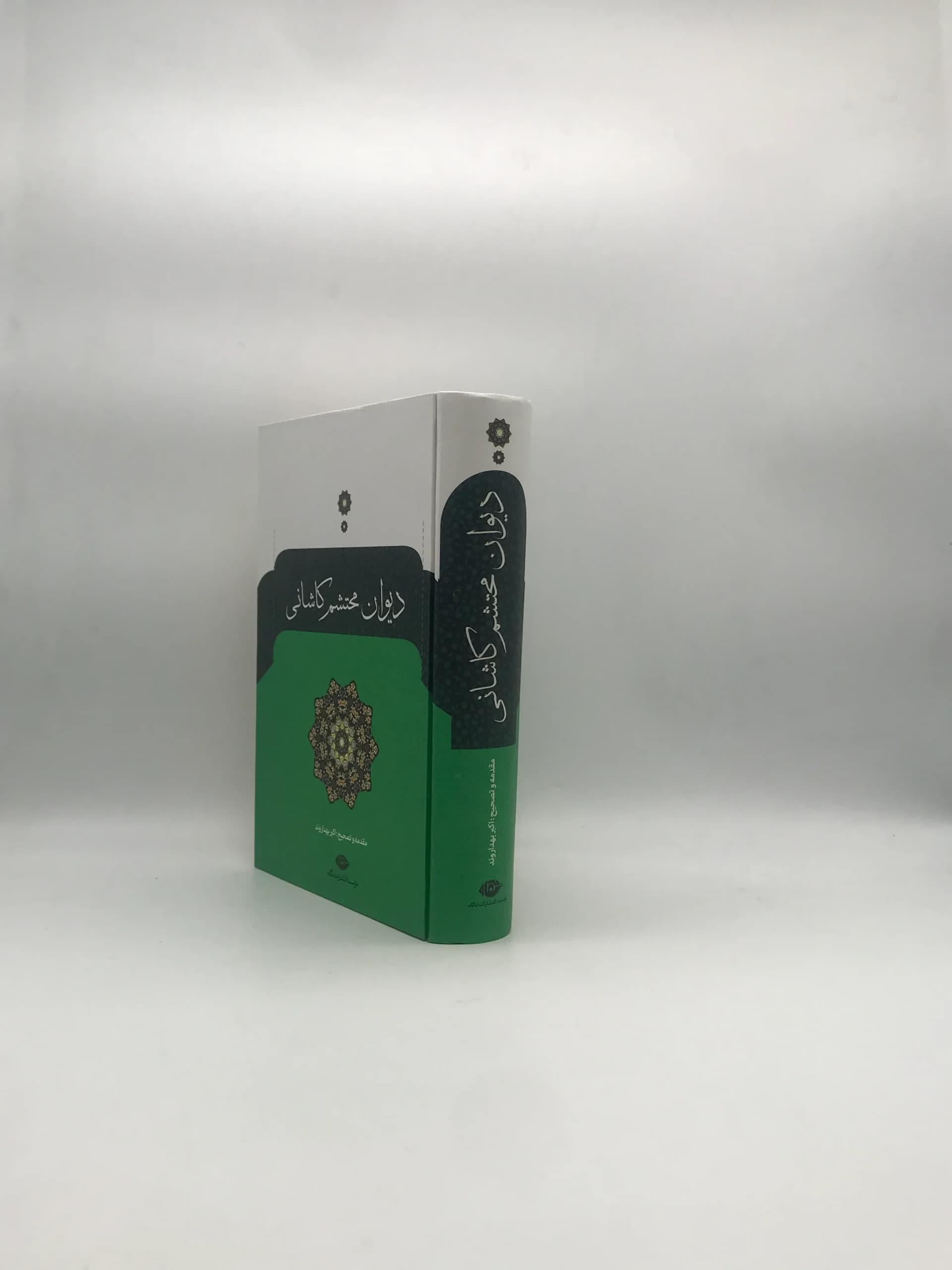 دیوان محتشم کاشانی — تصویر ۴