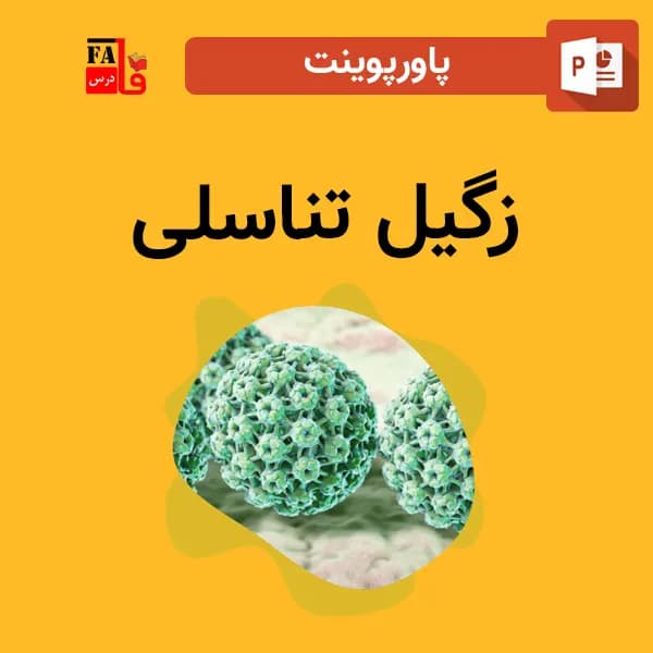 پاورپوینت زگیل تناسلی — تصویر ۲