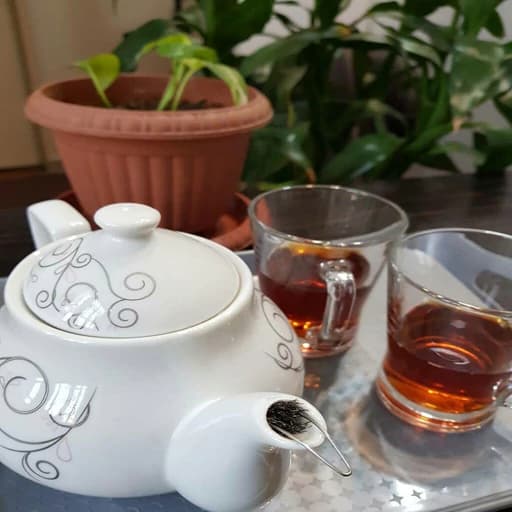صافی چای مدل 4556 — تصویر ۲