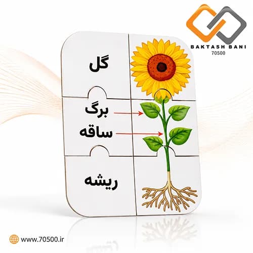 اجزای گل آموزشی