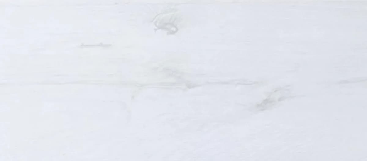 لمینت ورونا کینگ – کد 99107 — تصویر ۲
