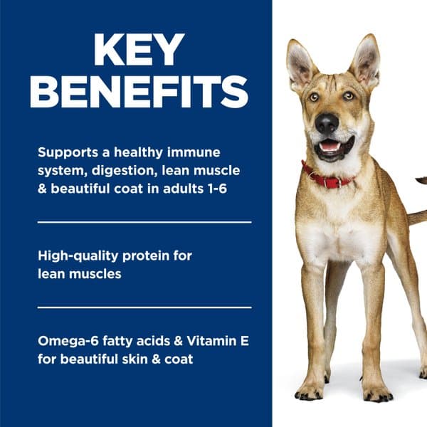 پک غذای سگ بالغ هیلز ساینس دایت تغذیه روزانه متعادل طعم مرغ و جو پک ترکیبی | Hill’s Science Diet Chicken & Barley Entree + 7+ Beef & Barley Entree Canned Dog Food — تصویر ۵