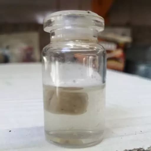 میعه سائله — تصویر ۲