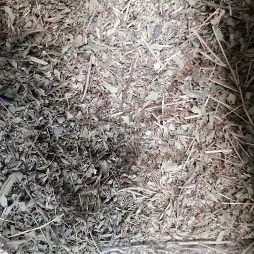 مرزنجوش 75 گرم — تصویر ۲