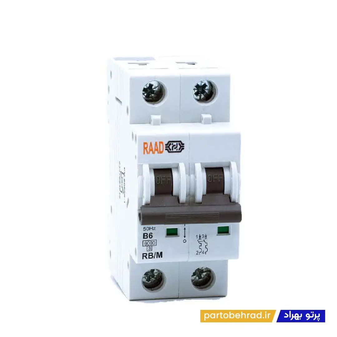 کلید مینیاتوری دو پل 10 کیلو آمپر رعد مدل RB/M 2P 63A