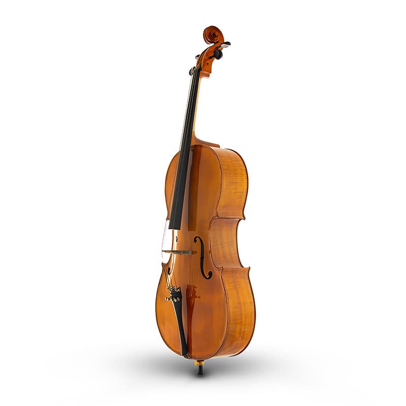 ویولنسل کاکسن Cello Kaxen 2000 — تصویر ۴