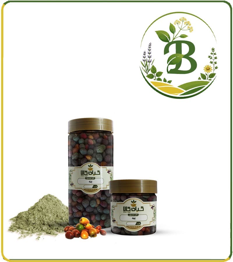 میوه بنه خشک یا پودری بسته بندی
