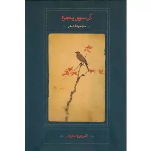 کتاب آن سوی پنجره نشر سخن