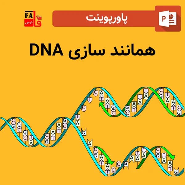 پاورپوینت همانند سازی DNA