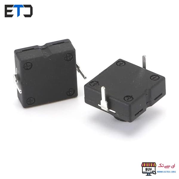 کلید چراغ قوه پلیسی 2 پایه 12×12 میلی متر — تصویر ۲