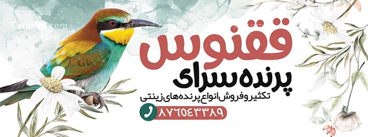 طرح بنر پرنده فروشی با عکس پرنده زینتی — تصویر ۳