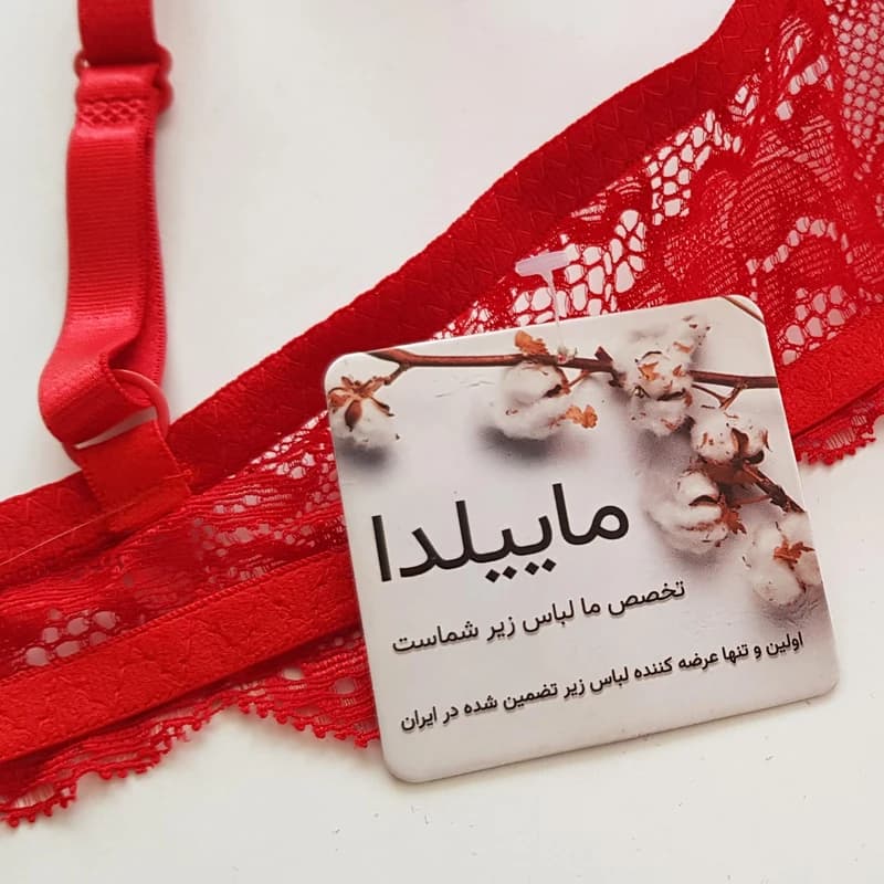 ست شورت و سوتین زنانه ماییلدا مدل فنردار پوش آپ کد 4616 — تصویر ۹