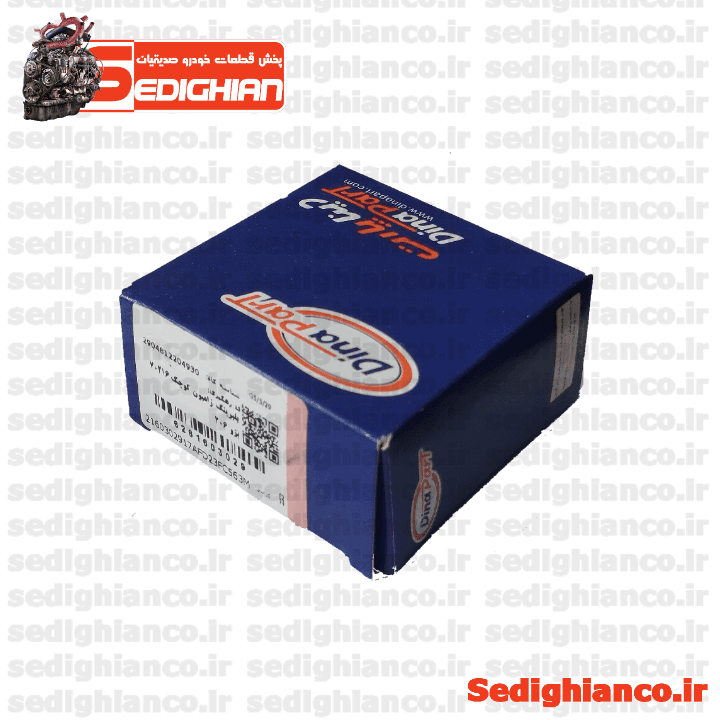 بلبرینگ ژامبون کوچک (بیرونی) 206/ دیناپارت