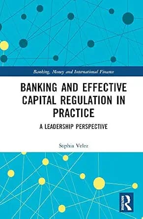 و دانلود نسخه کامل کتاب زبان اصلی Banking and Effective Capital Regulation in Practice: A Leadership Perspective (Banking, Money and International Finance) PDF | دانلود کتاب خارجی — تصویر ۲