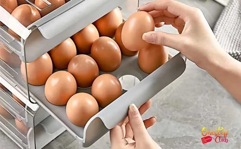 استند ریلی تخم مرغ — تصویر ۳