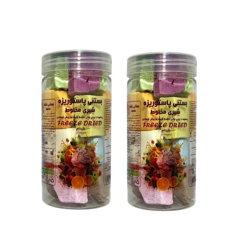 بستنی خشک شینام – 110 گرم مجموعه 2 عددی